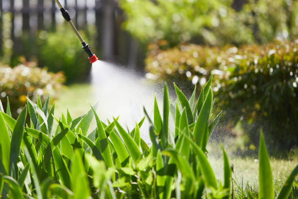 24/7 Emergency Mosquito Control experts in Cleveland, WI